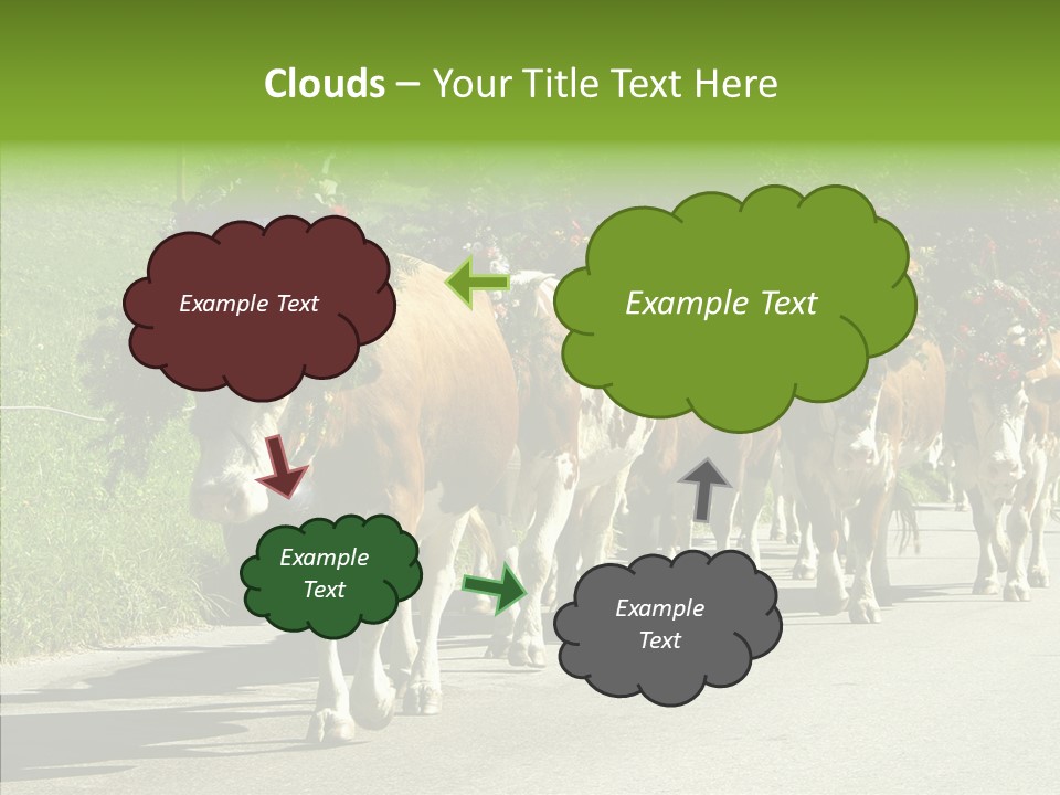 Caregiver Closeup White Background PowerPoint Template