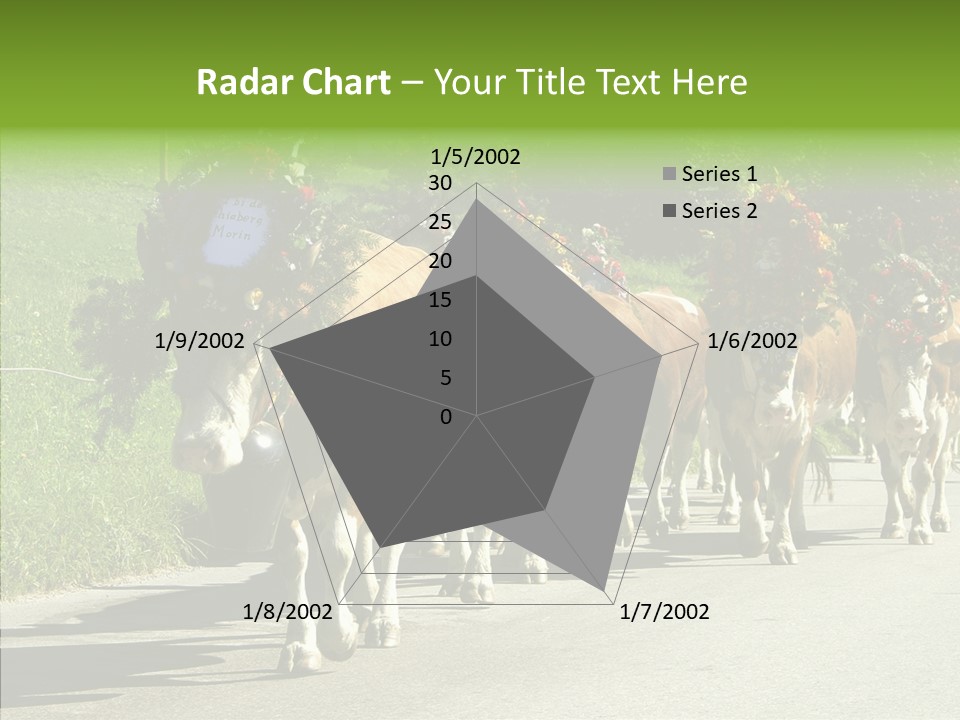 Caregiver Closeup White Background PowerPoint Template