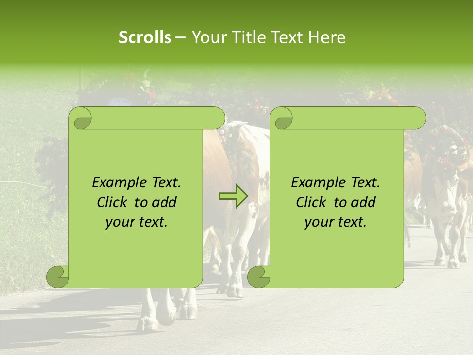 Caregiver Closeup White Background PowerPoint Template