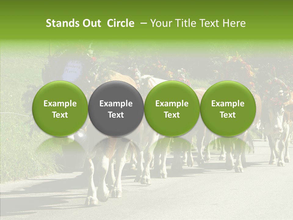 Caregiver Closeup White Background PowerPoint Template