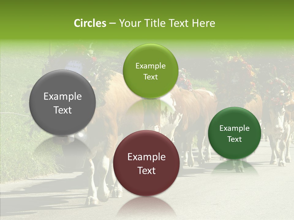 Caregiver Closeup White Background PowerPoint Template