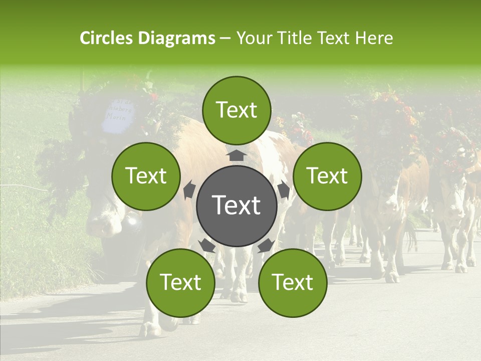 Caregiver Closeup White Background PowerPoint Template