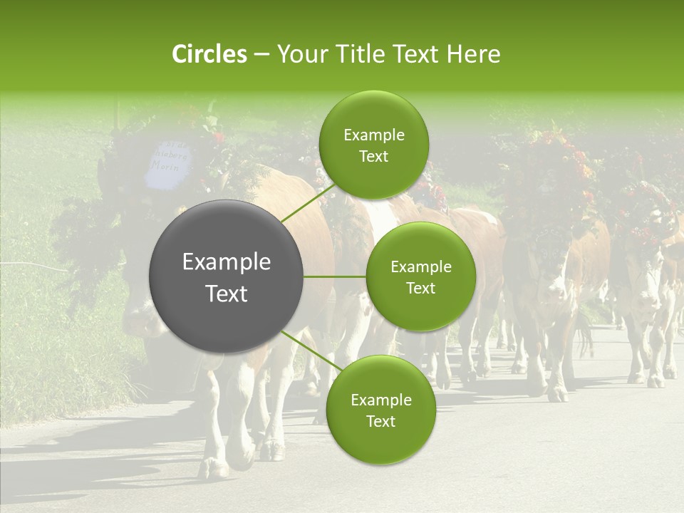 Caregiver Closeup White Background PowerPoint Template