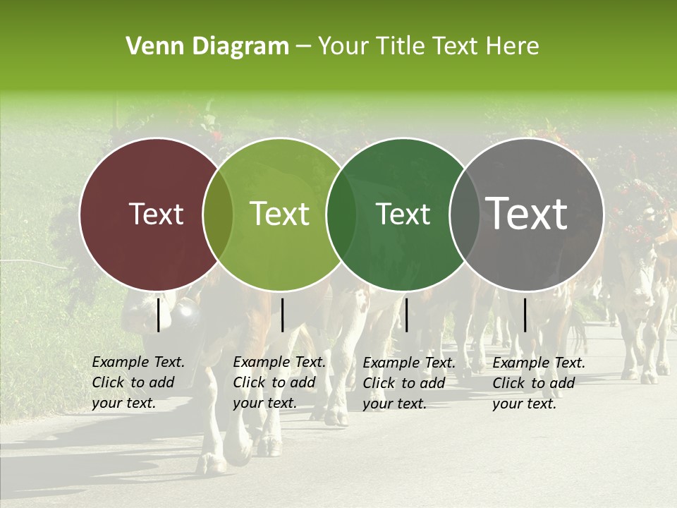 Caregiver Closeup White Background PowerPoint Template