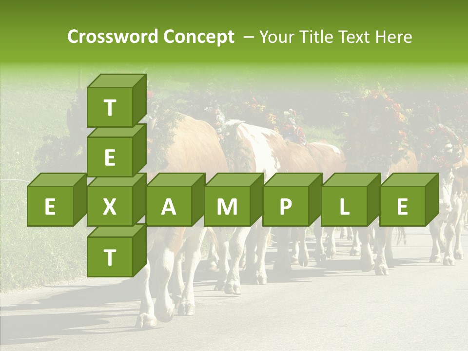 Caregiver Closeup White Background PowerPoint Template