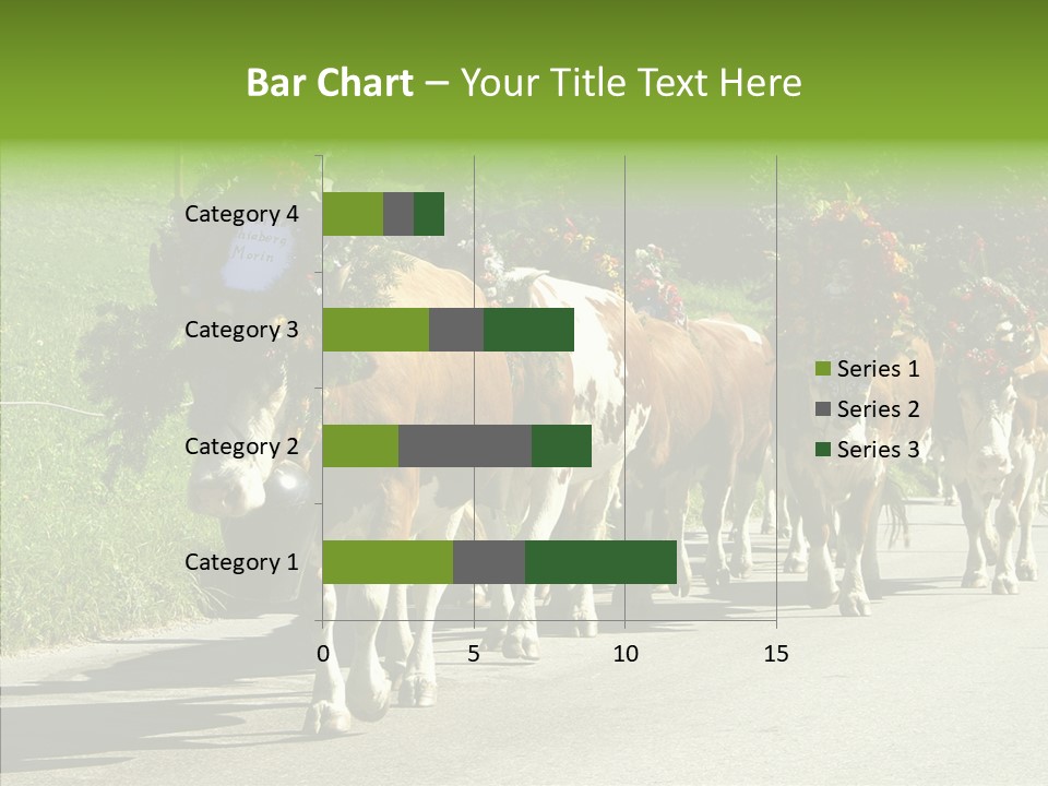 Caregiver Closeup White Background PowerPoint Template