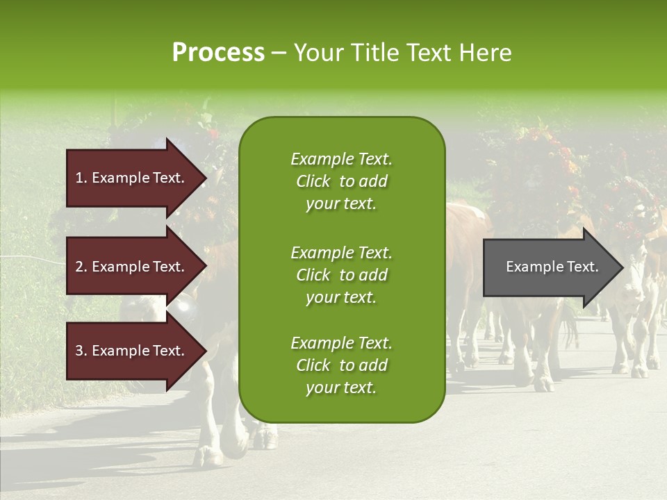 Caregiver Closeup White Background PowerPoint Template