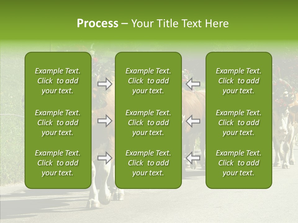 Caregiver Closeup White Background PowerPoint Template