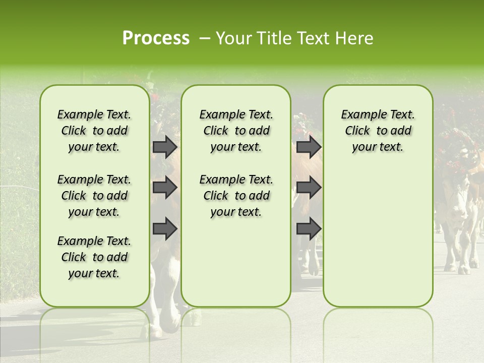 Caregiver Closeup White Background PowerPoint Template
