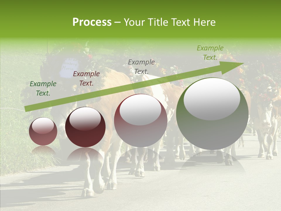 Caregiver Closeup White Background PowerPoint Template