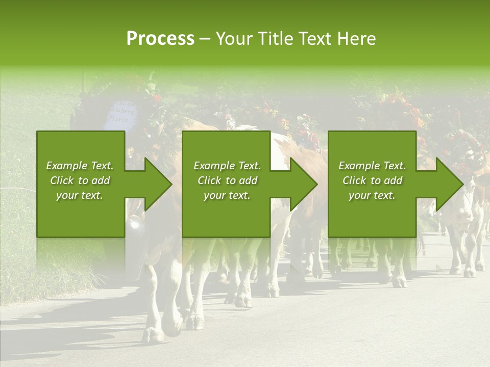 Caregiver Closeup White Background PowerPoint Template