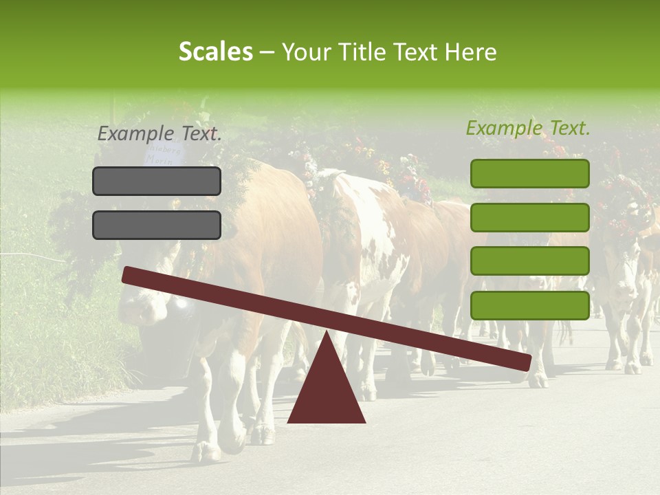 Caregiver Closeup White Background PowerPoint Template