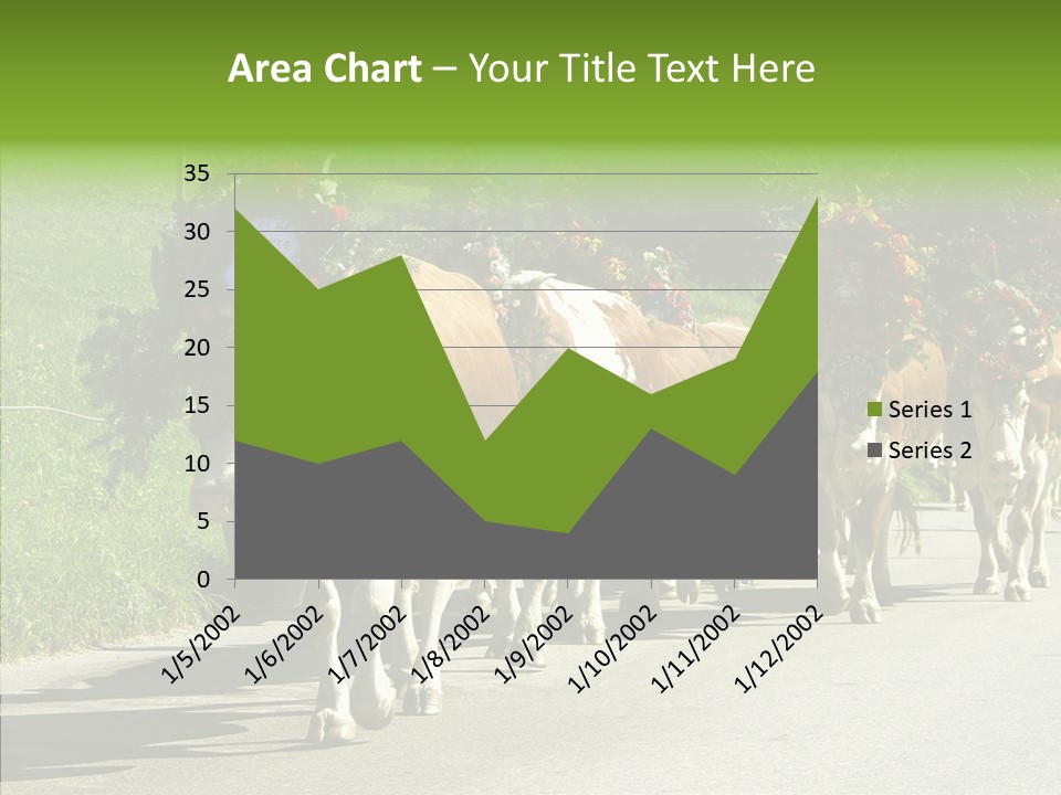 Caregiver Closeup White Background PowerPoint Template