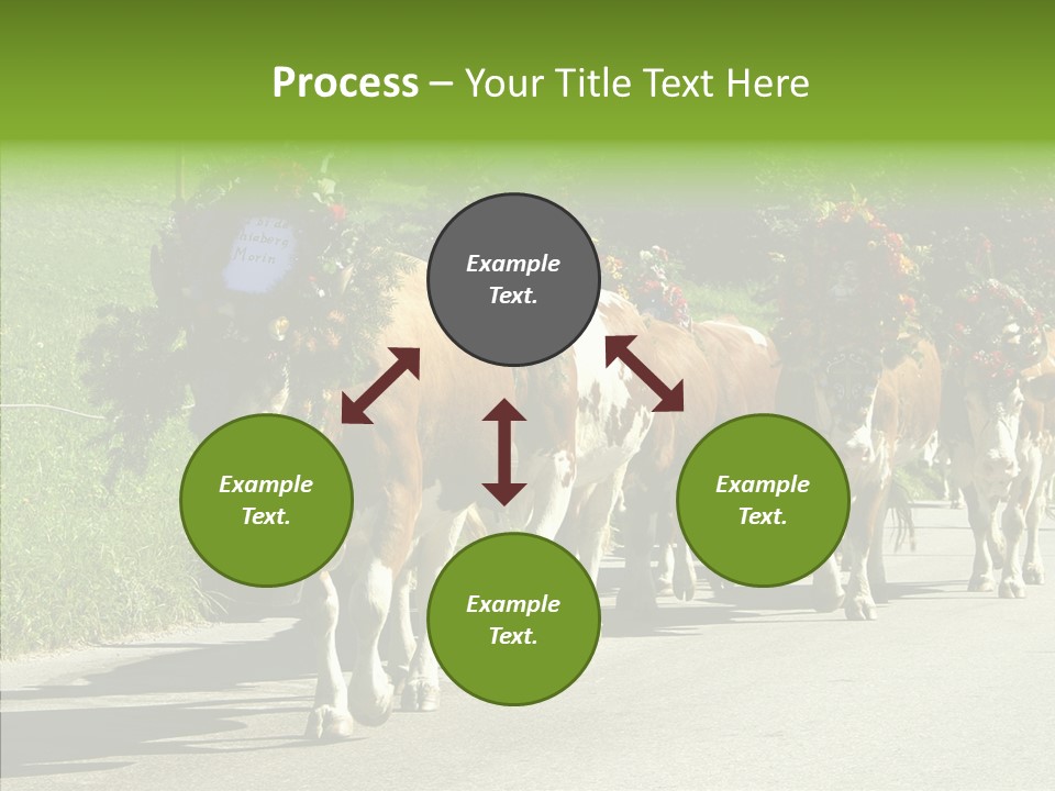 Caregiver Closeup White Background PowerPoint Template