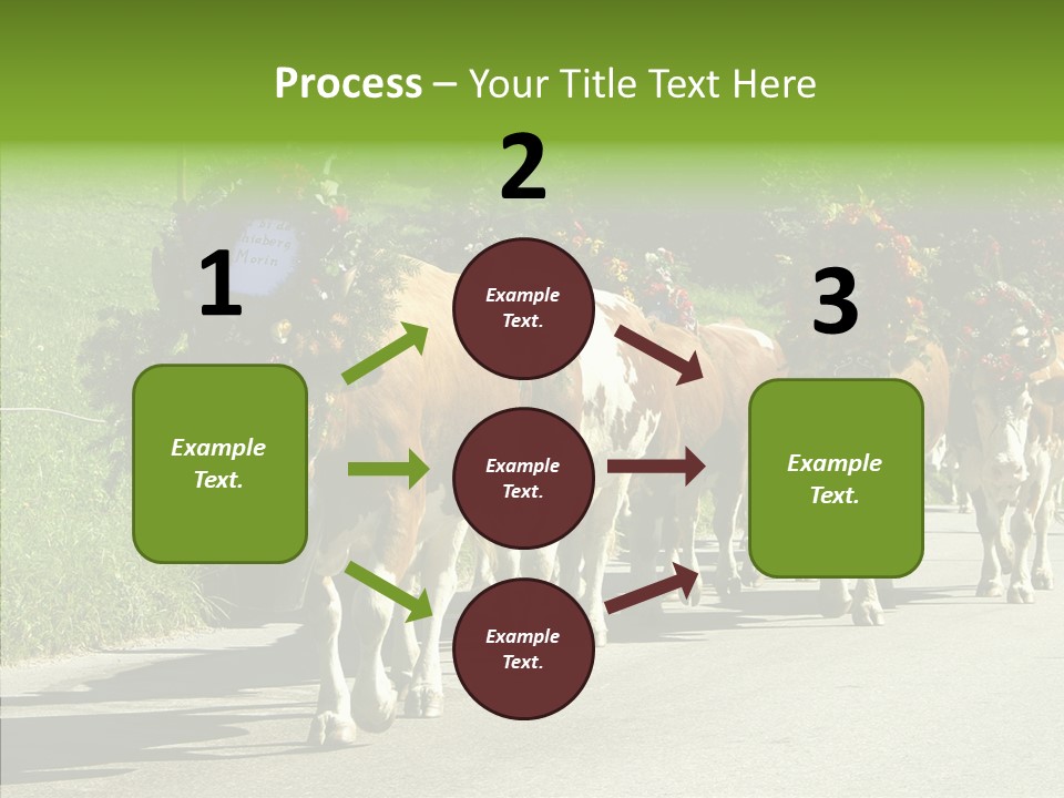 Caregiver Closeup White Background PowerPoint Template