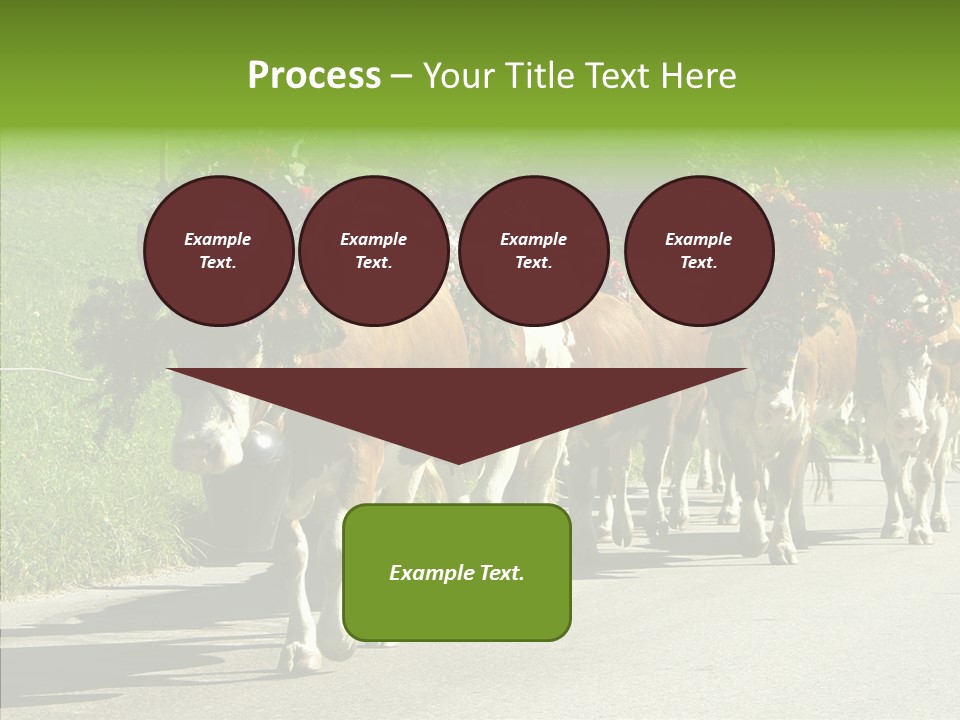 Caregiver Closeup White Background PowerPoint Template