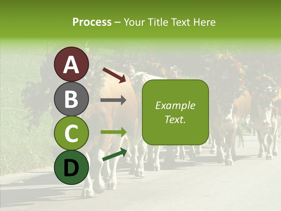 Caregiver Closeup White Background PowerPoint Template