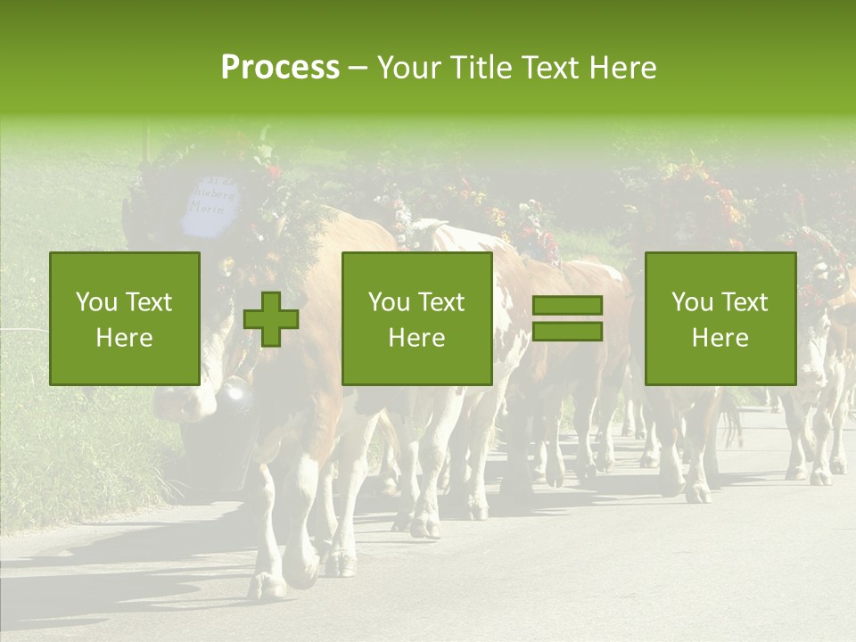 Caregiver Closeup White Background PowerPoint Template