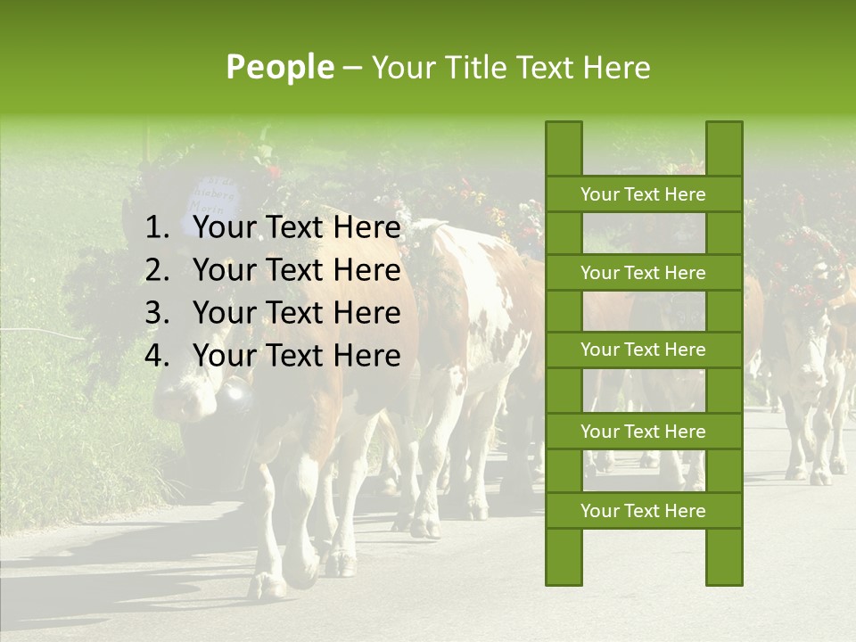 Caregiver Closeup White Background PowerPoint Template