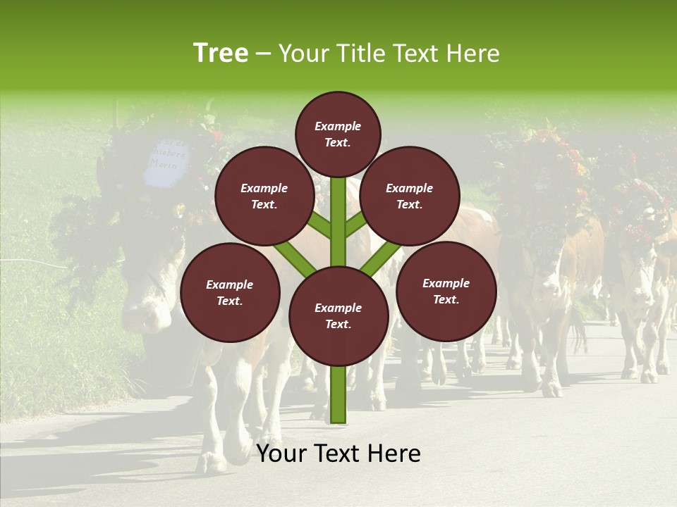 Caregiver Closeup White Background PowerPoint Template