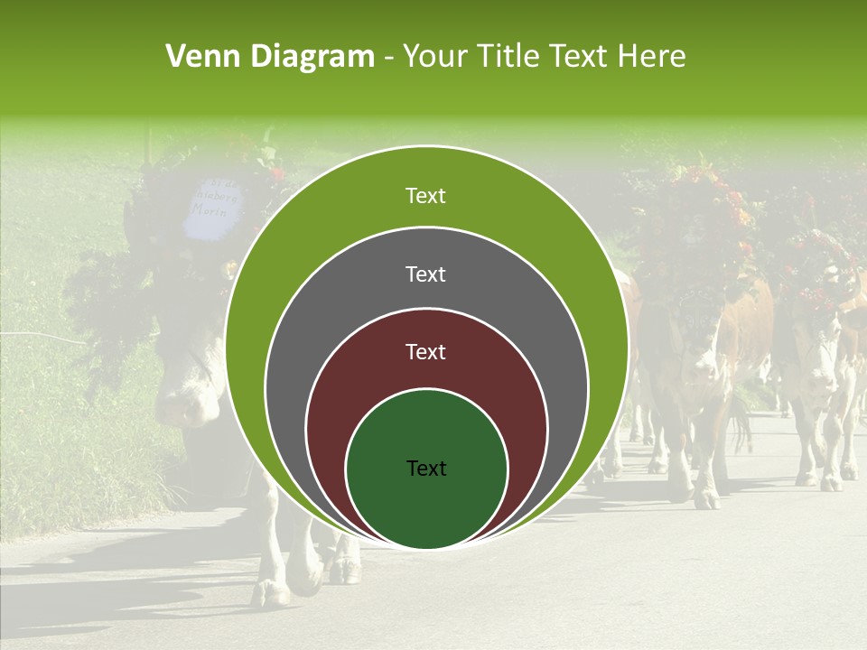 Caregiver Closeup White Background PowerPoint Template