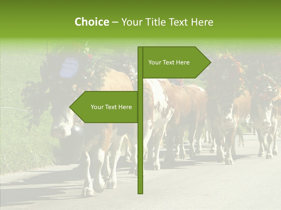 Caregiver Closeup White Background PowerPoint Template