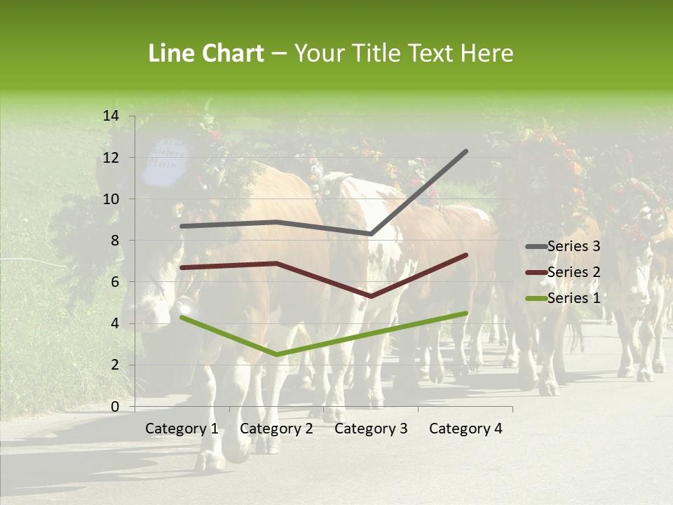 Caregiver Closeup White Background PowerPoint Template