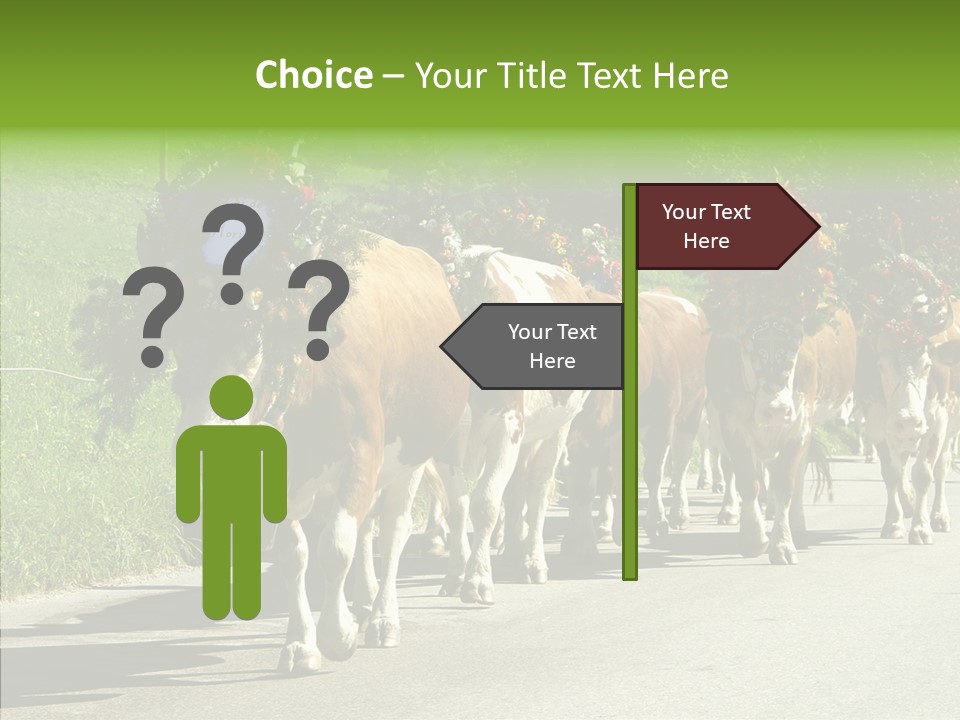 Caregiver Closeup White Background PowerPoint Template