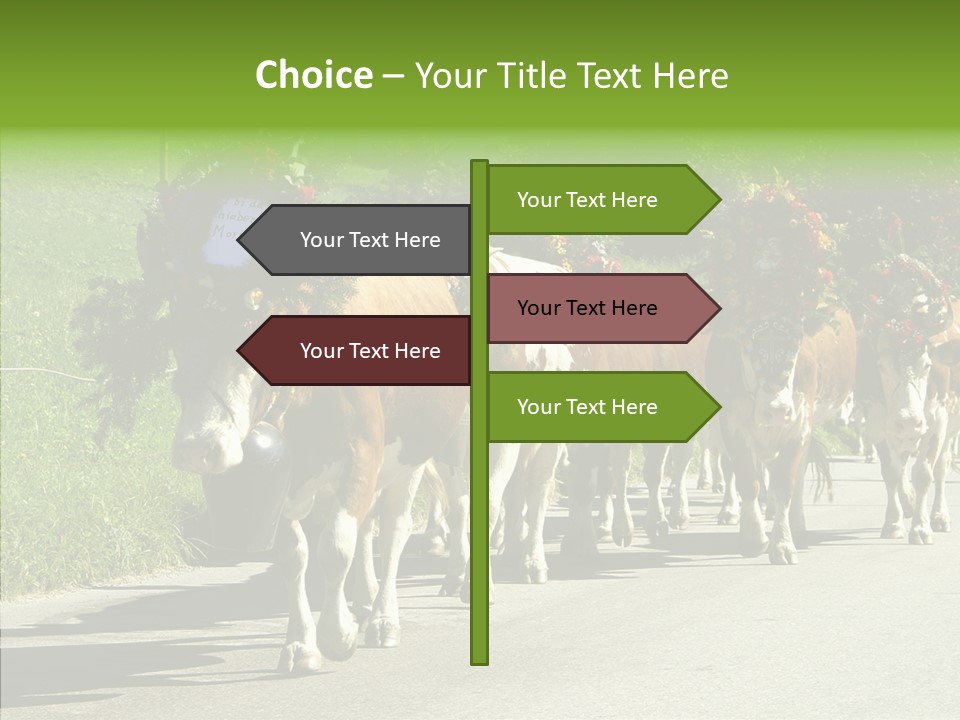 Caregiver Closeup White Background PowerPoint Template