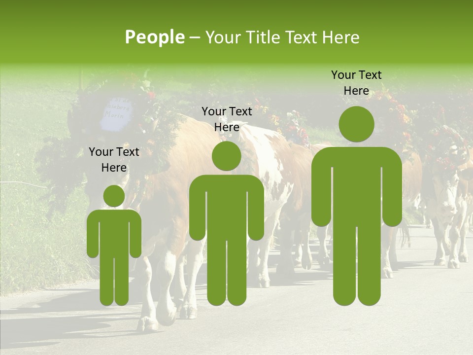 Caregiver Closeup White Background PowerPoint Template