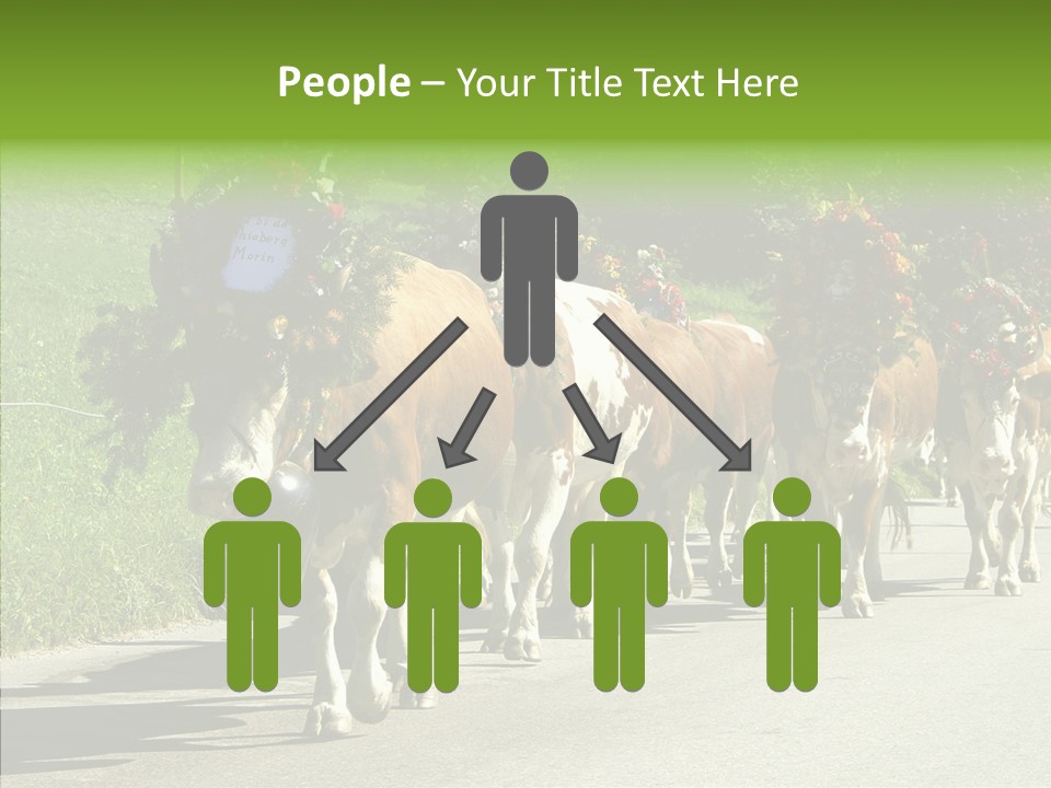 Caregiver Closeup White Background PowerPoint Template