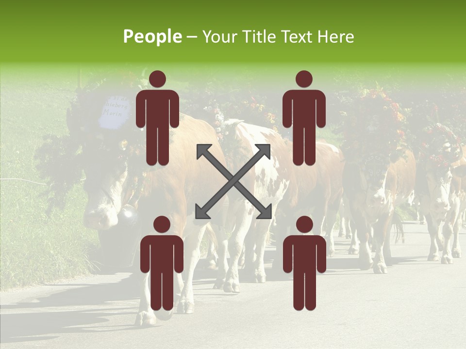 Caregiver Closeup White Background PowerPoint Template