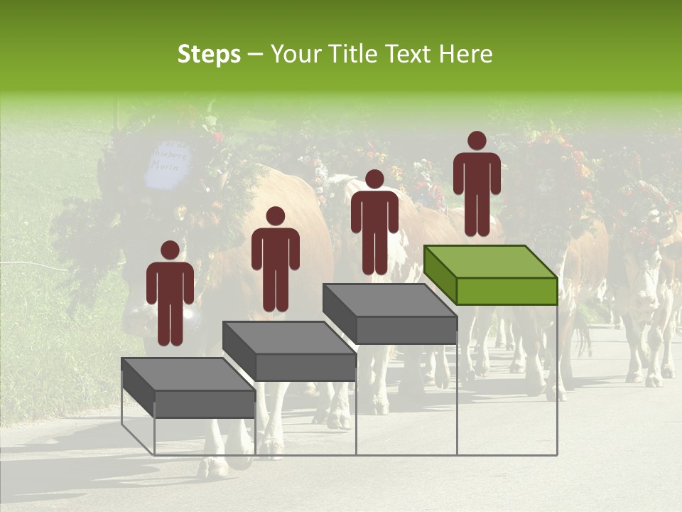 Caregiver Closeup White Background PowerPoint Template