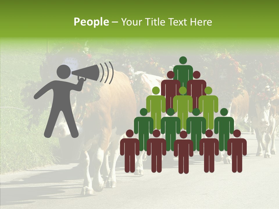 Caregiver Closeup White Background PowerPoint Template