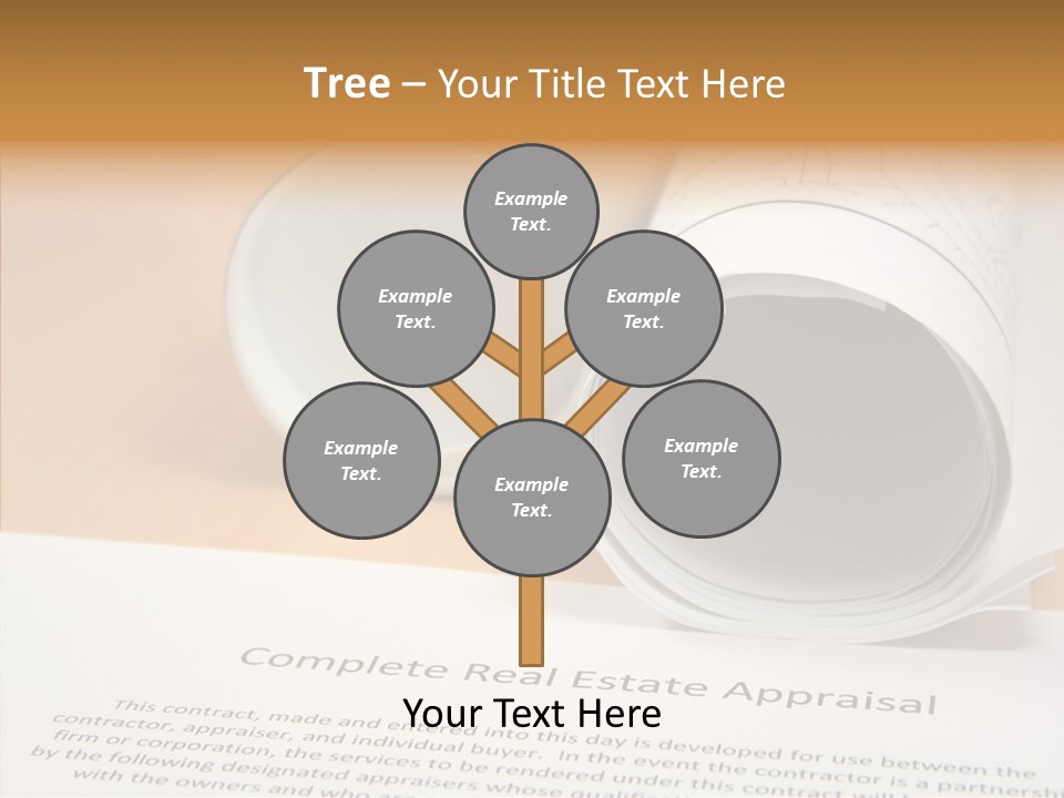 Female White Background Women PowerPoint Template