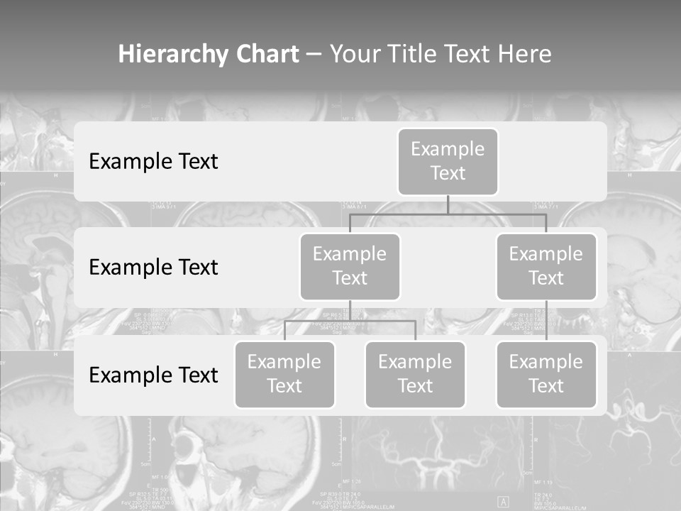 Elderly  Assist PowerPoint Template