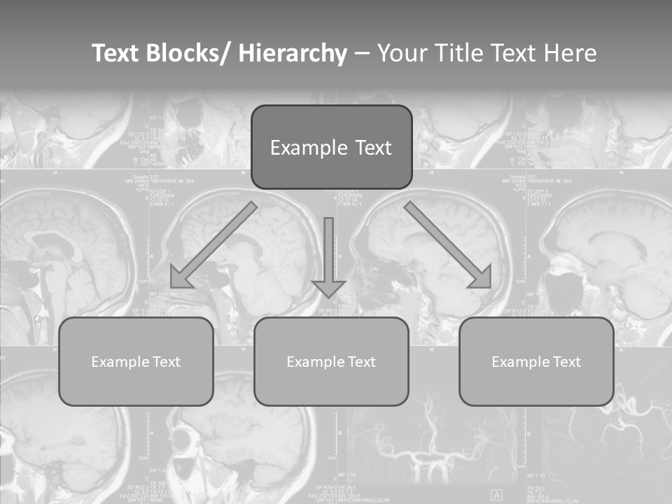 Elderly  Assist PowerPoint Template