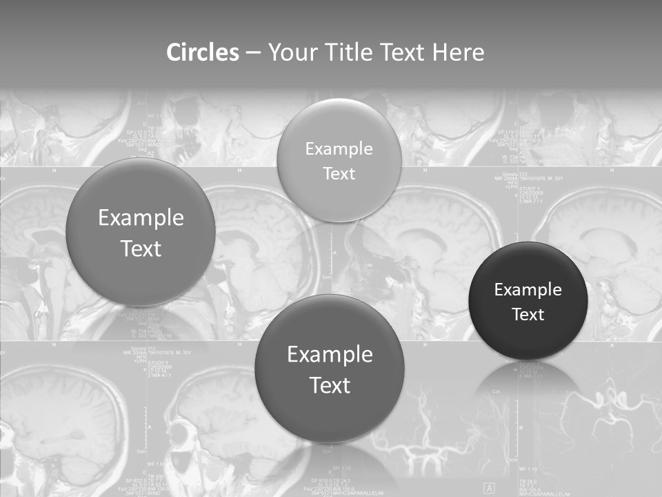 Elderly  Assist PowerPoint Template