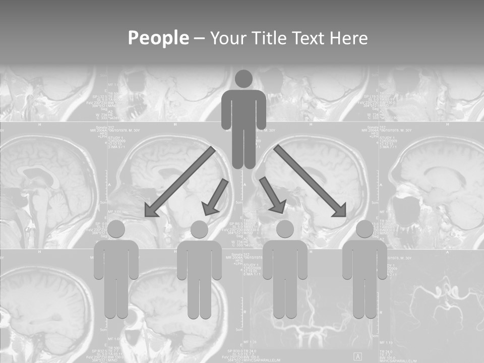 Elderly  Assist PowerPoint Template