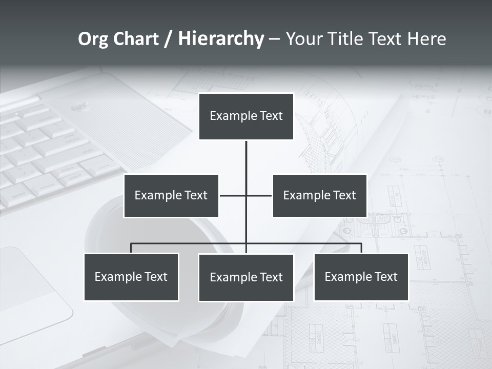 White Young Closeup PowerPoint Template