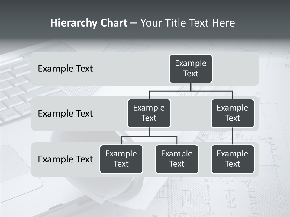White Young Closeup PowerPoint Template