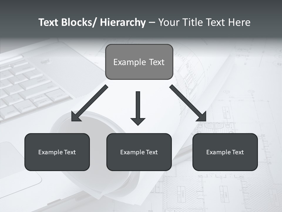 White Young Closeup PowerPoint Template