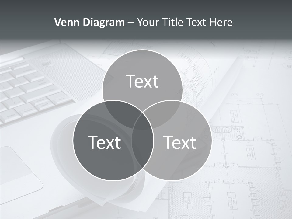 White Young Closeup PowerPoint Template