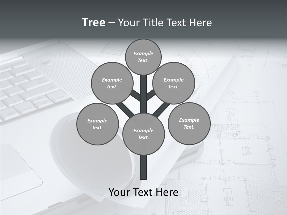 White Young Closeup PowerPoint Template