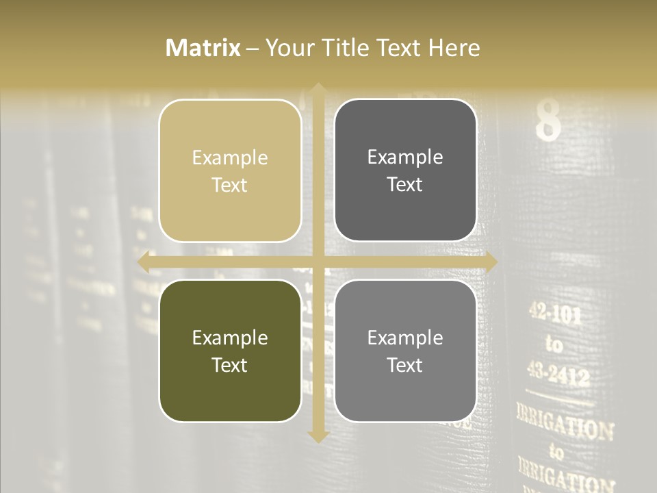 Elderly Hold Assist PowerPoint Template