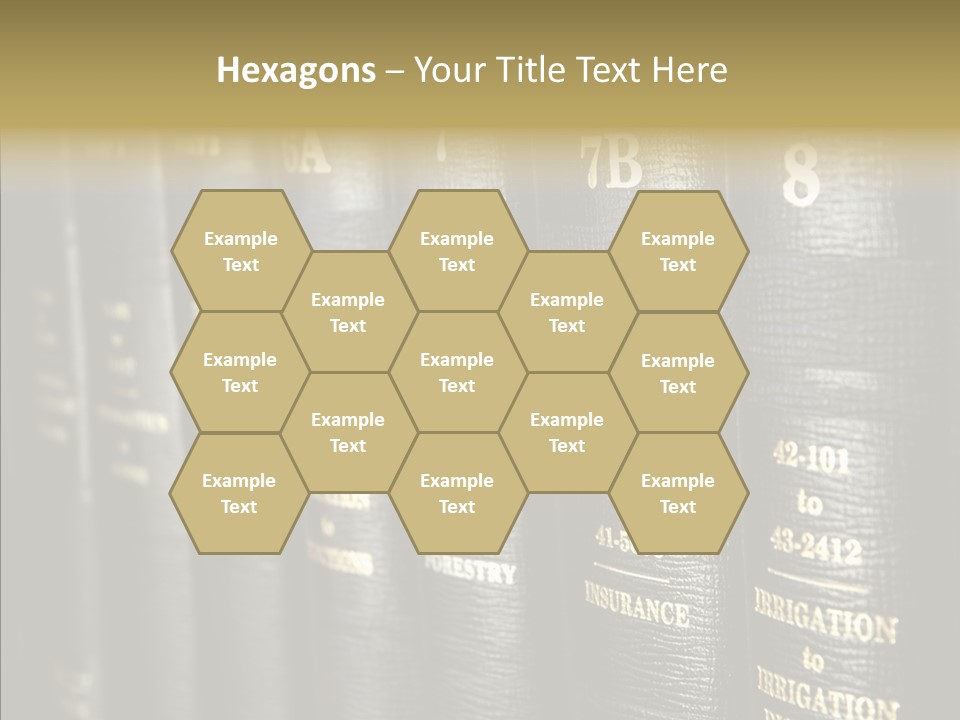 Elderly Hold Assist PowerPoint Template