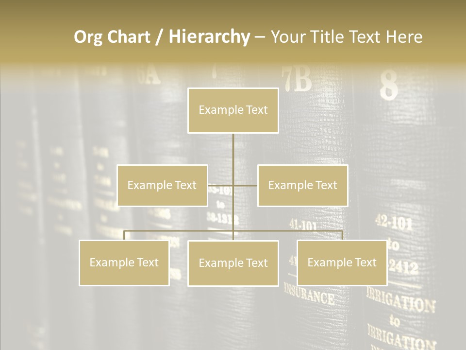 Elderly Hold Assist PowerPoint Template