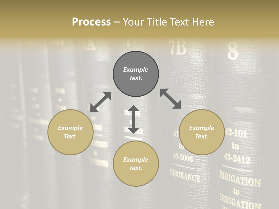 Elderly Hold Assist PowerPoint Template