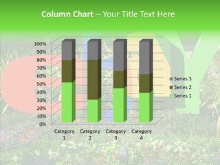 Grandmother Finger Two PowerPoint Template