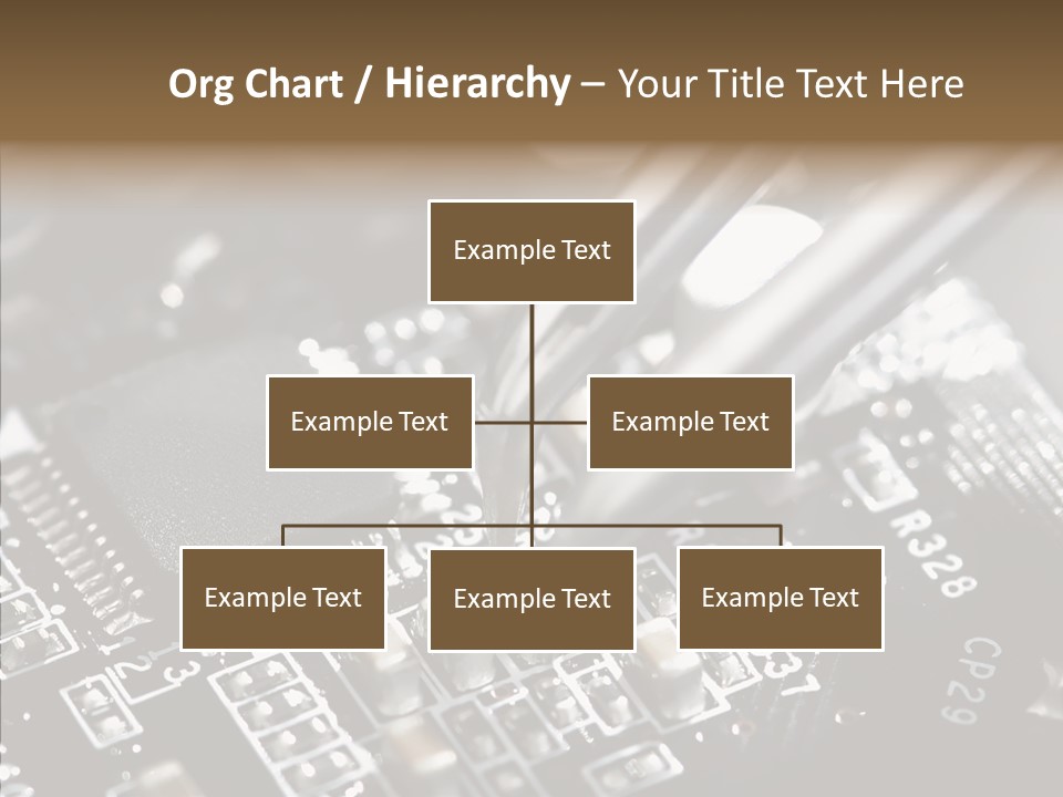 Hand Closeup Women PowerPoint Template